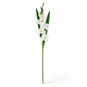 A single 33-inch cream white gladiolus flower spray with green leaves on a white background - thumbnail number 1
