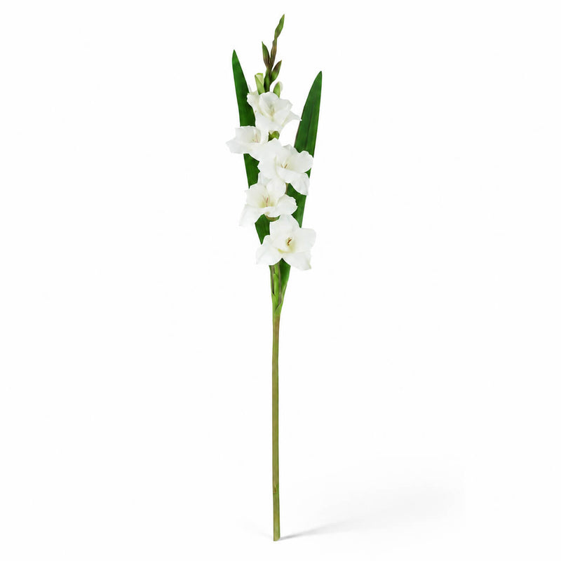 A single 33-inch cream white gladiolus flower spray with green leaves on a white background - thumbnail number 1