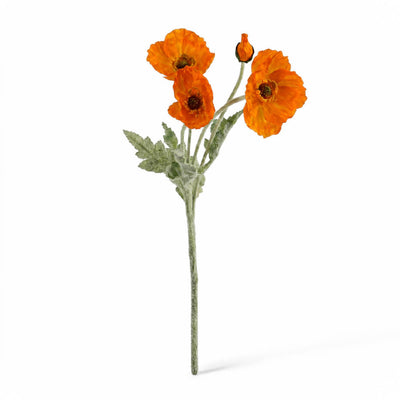 Single orange poppy flower spray with three blooms and a bud on a white background - thumbnail number 1