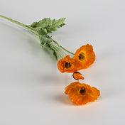 03384918538 - thumbnail number 3