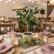 Mini Olive Tree 12in - thumbnail number 6