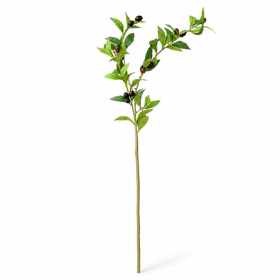 Olive Branch 31.5"