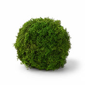 Preserved Reindeer Moss Ball 4" Set of 3 - thumbnail number 1