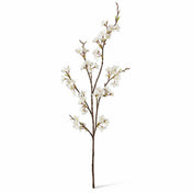 Single white cherry blossom branch on a white background - thumbnail number 1