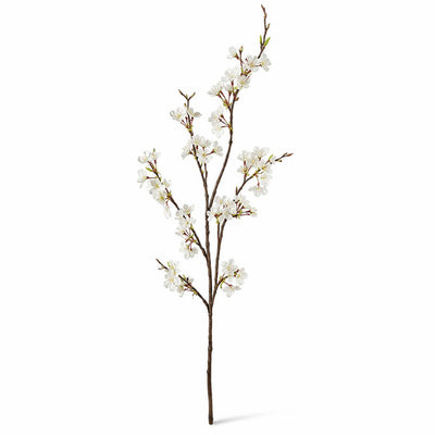 Single white cherry blossom branch on a white background - thumbnail number 1