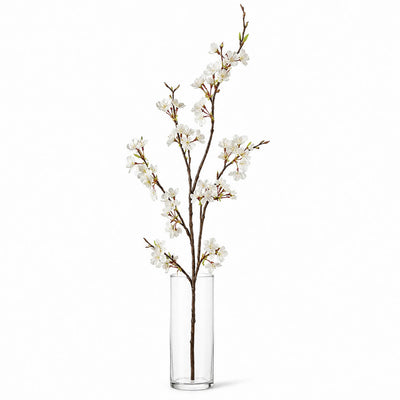 White cherry blossom branch in a clear glass cylinder vase - thumbnail number 2