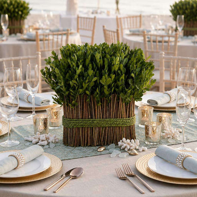 11" Standing Preserved Boxwood Arrangement - thumbnail number 3