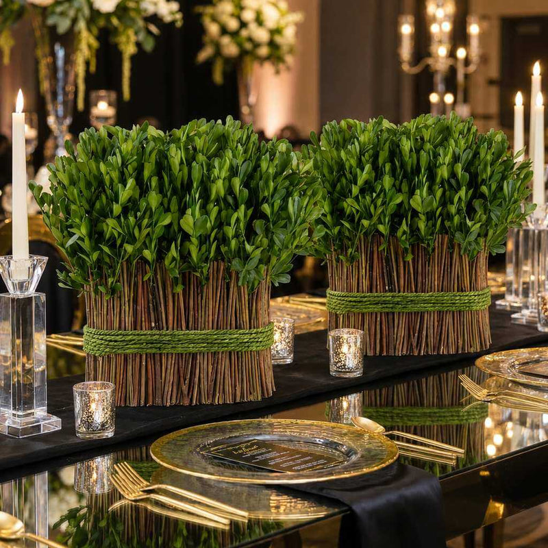 11" Standing Preserved Boxwood Arrangement - thumbnail number 5