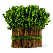 11" Standing Preserved Boxwood Arrangement - thumbnail number 1
