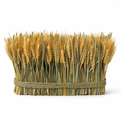 Natural Preserved Wheat Arrangement 10"x 15"
