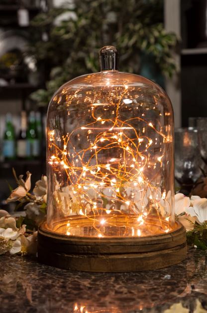 Fairy Lights Strand 60" Warm White with Copper Wire (30 bulbs), Battery-Operated