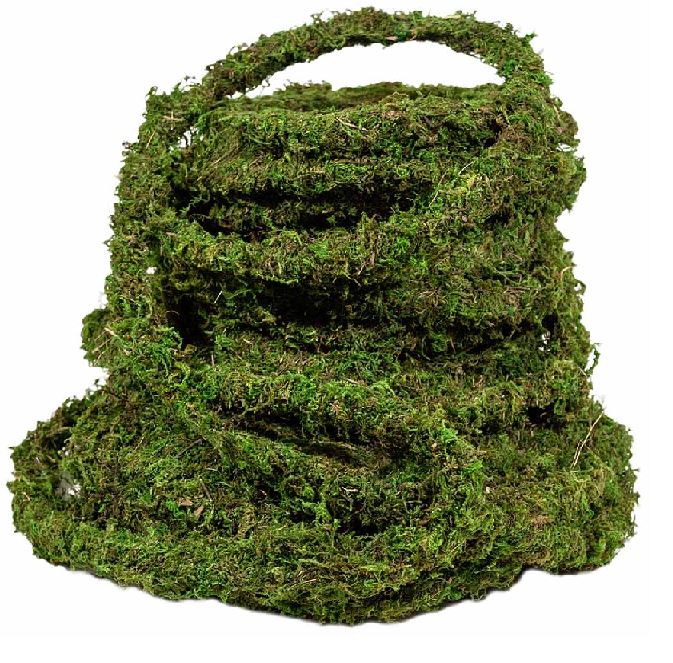 Preserved Moss Vine Roll 60 Feet - thumbnail number 2