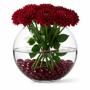 Dark red dahlias in a 12" bubble glass vase with red decorative beads - thumbnail number 3
