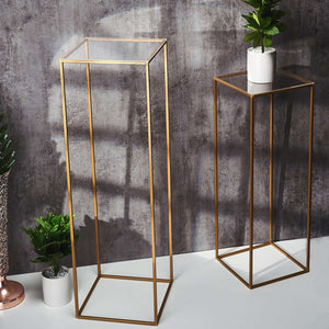 12" Square Clear Acrylic Plexiglass Sheets – 2-Pack 3mm Thick Top Plates with Film Protection