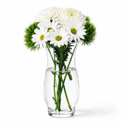 White daisies and green carnations in a clear glass vase on a white background - thumbnail number 4