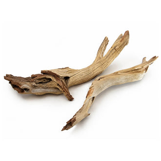 Sandblasted Ghostwood Branch 8in-12in (California Driftwood)