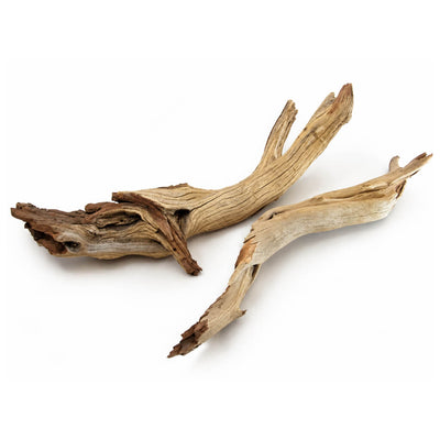 Sandblasted Ghostwood Branch 8in-12in (California Driftwood) - thumbnail number 1