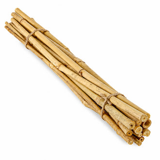 Bamboo Poles 24in Natural (bundle of 12)