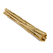 Bamboo Poles 24in Natural (bundle of 12) - thumbnail number 1
