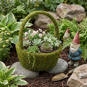 Moss basket filled with succulents and flowers outdoors - thumbnail number 11