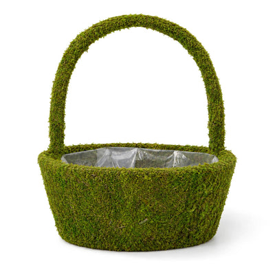 Preserved Natural Moss Basket 12"