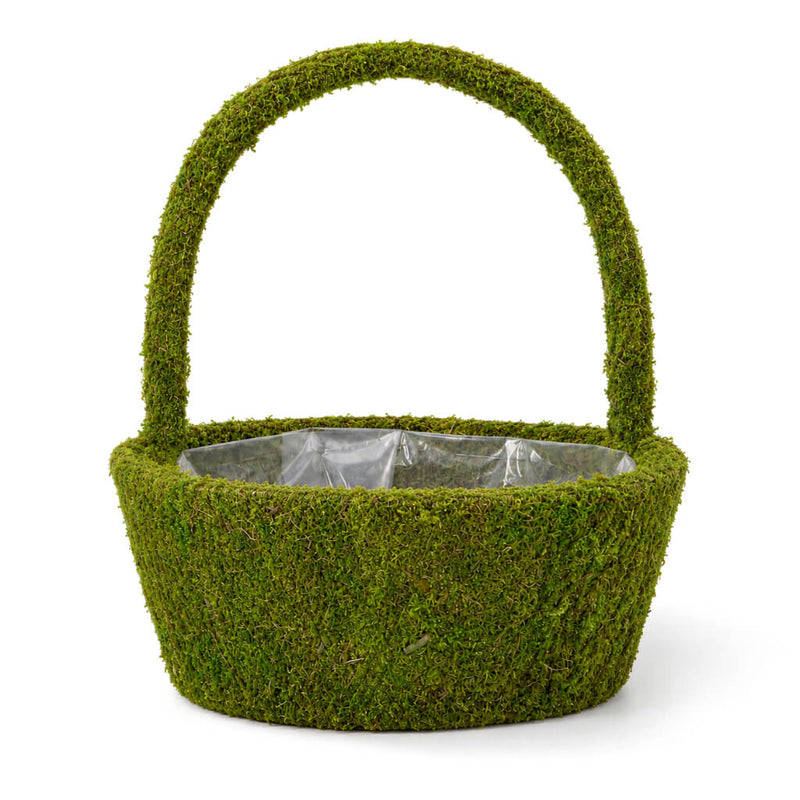 Empty preserved natural moss basket with a plastic liner - thumbnail number 1