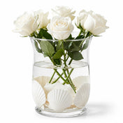 Natural Scallop Shells Pearl White Pack of 50 - thumbnail number 4