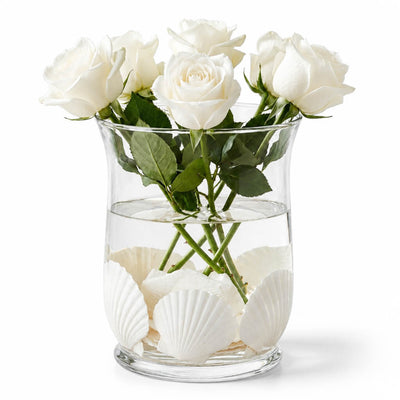 Natural Scallop Shells Pearl White Pack of 50 - thumbnail number 4