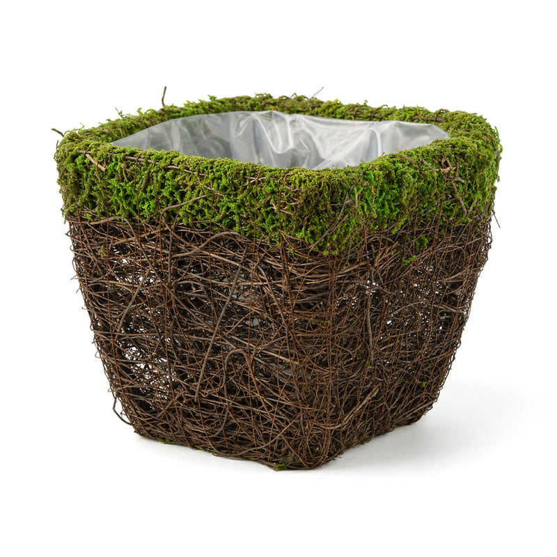 Empty wicker and moss square pot on a white background - thumbnail number 2