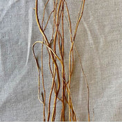 Curly Willow Tree Branch Bundle, 3-4 Feet - thumbnail number 2