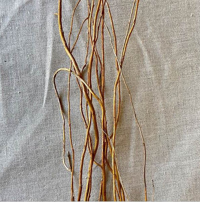 Curly Willow Tree Branch Bundle, 3-4 Feet - thumbnail number 2