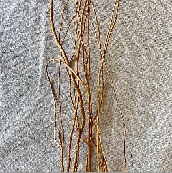 Curly Willow Tree Branch Bundle, 3-4 Feet - thumbnail number 2