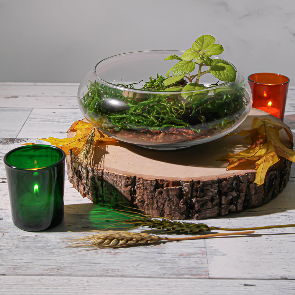 astland Floating Candle Dish Garden 8"