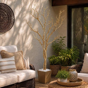 Potted gold faux manzanita tree in a patio seating area - thumbnail number 9