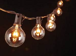 Globe Lights String Brown Wire 9ft (10 bulbs) Indoor/Outdoor