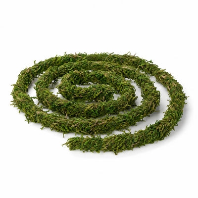 Preserved Moss Vine 6ft