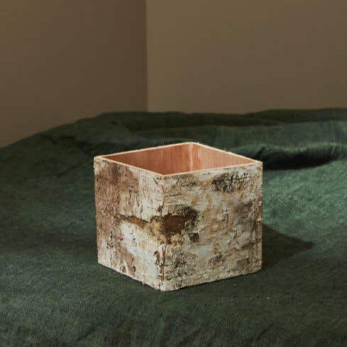 Birch Bark Square Pot with Liner 5in