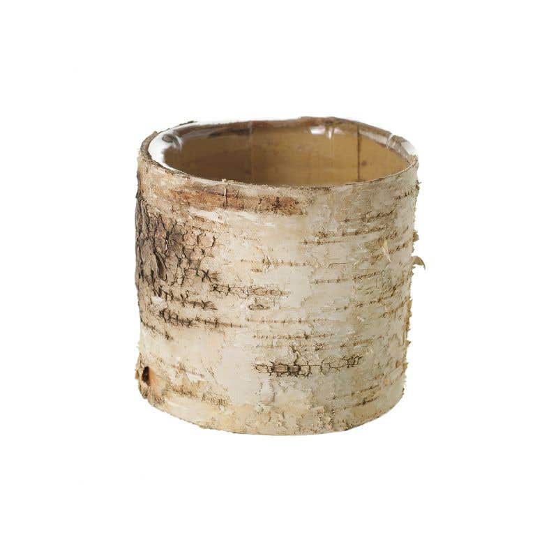 Birch Bark Planter Pot 4.75" w/Liner