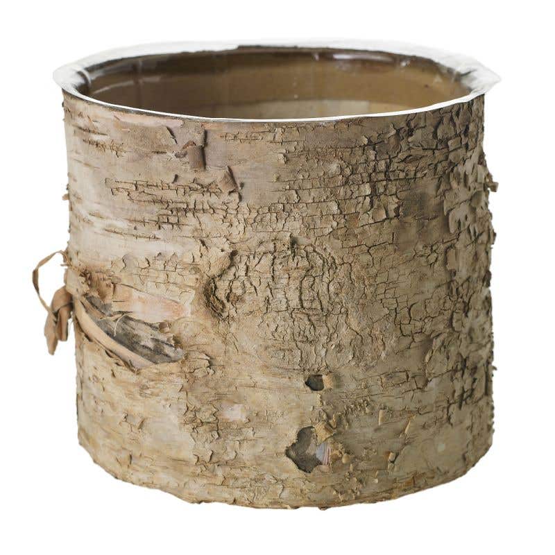 Birch Bark Planter Pot 7x6 w/Liner