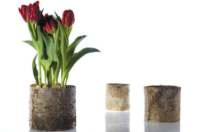 Birch Bark Planter Pot 6x5.25 w/Liner - thumbnail number 5