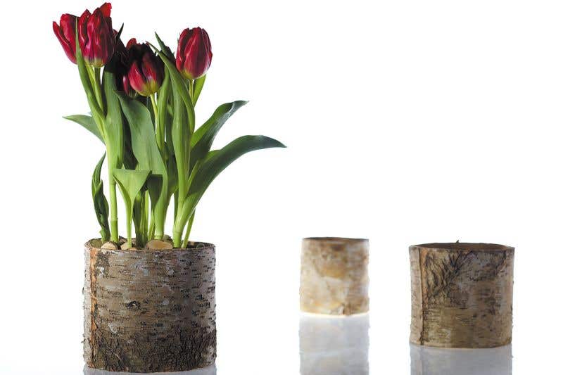 Birch Bark Planter Pot 6x5.25 w/Liner