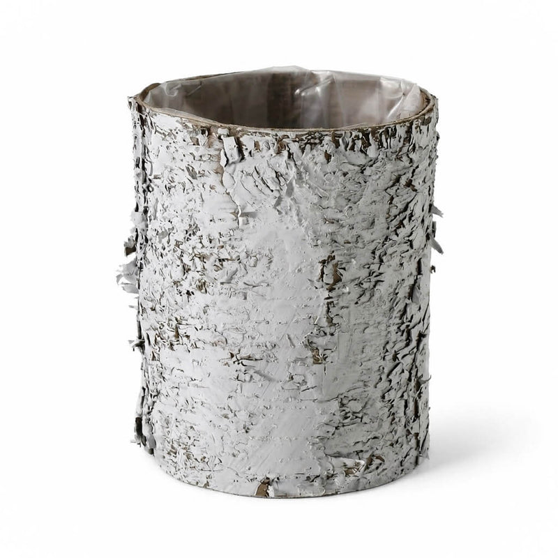 4.75x6" Whitewashed Birch Bark Vase with clear plastic liner, isolated on a white background - thumbnail number 1