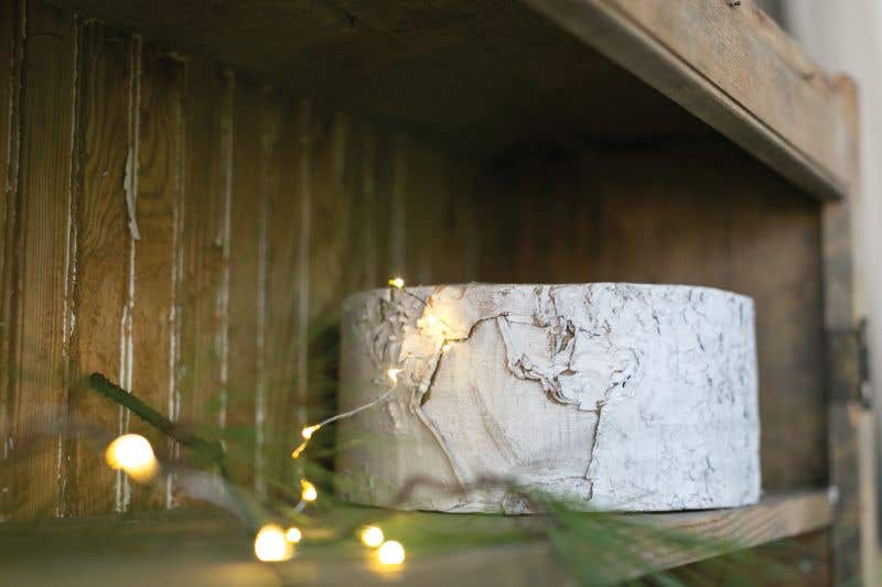 Whitewashed Birch Bark Bowl Vase 10x4.7