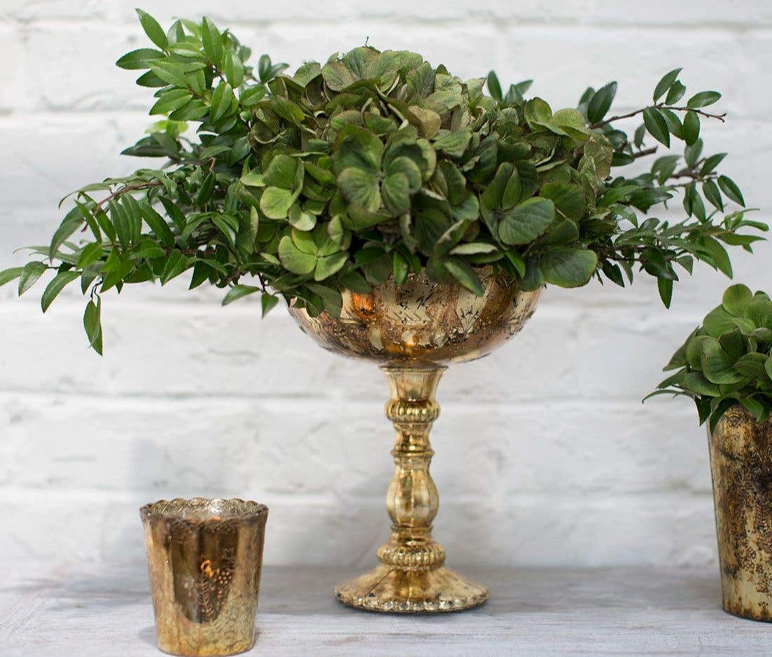 Gold Desiray Glass Compote 9.5" x 8"