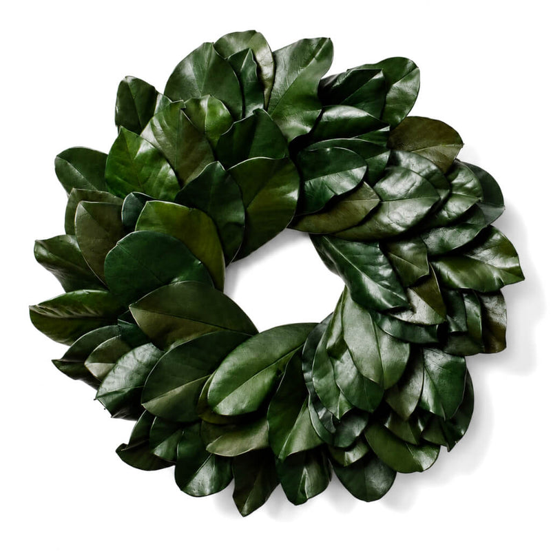 Green magnolia leaf wreath isolated on white - thumbnail number 1