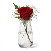Rhea Bud Vase containing a single red rose surrounded by delicate baby's breath - thumbnail number 2