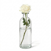 White rose in a 6-inch clear apothecary glass bottle standing on a white backdrop - thumbnail number 2