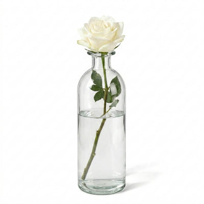 White rose in a 6-inch clear apothecary glass bottle standing on a white backdrop - thumbnail number 2