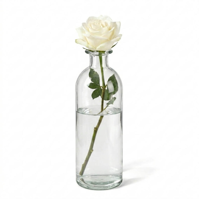 White rose in a 6-inch clear apothecary glass bottle standing on a white backdrop - thumbnail number 2
