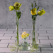 Richland Tempe Bud Vase Set of 12 - thumbnail number 5